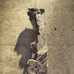 Plants: image 4 0f 4 thumb