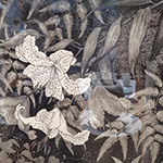 Plants: image 1 0f 8 thumb