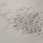 Plants: image 2 0f 8 thumb