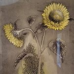 Plants: image 6 0f 8 thumb