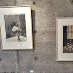 Plants: image 8 0f 8 thumb