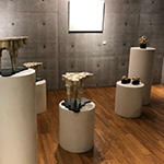 Plants: image 2 0f 5 thumb