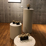 Plants: image 4 0f 5 thumb