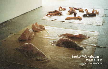 Saeko Wakabayashi
